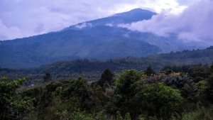 BNPB Pantau Karhutla di Kuningan, Ciamis, dan Grobogan